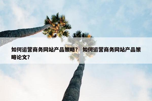 如何运营商务网站产品策略？ 如何运营商务网站产品策略论文？