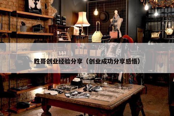 胜哥创业经验分享（创业成功分享感悟）