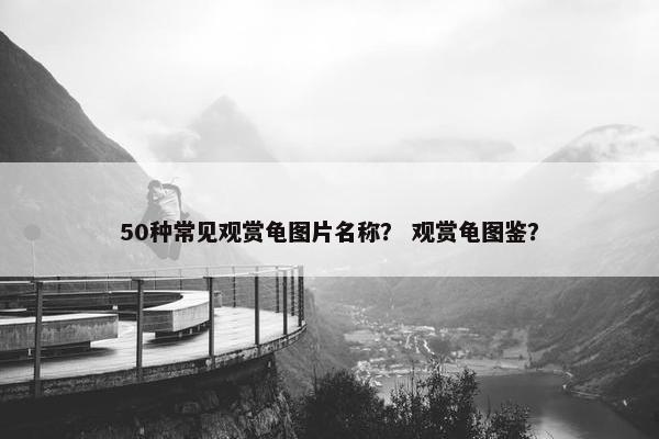 50种常见观赏龟图片名称？ 观赏龟图鉴？