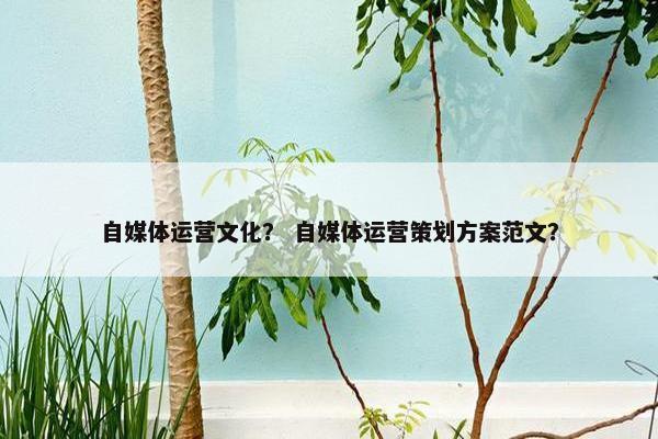 自媒体运营文化？ 自媒体运营策划方案范文？