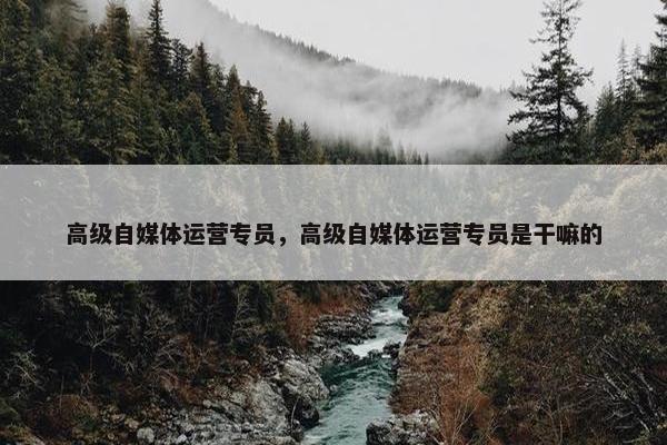 高级自媒体运营专员，高级自媒体运营专员是干嘛的