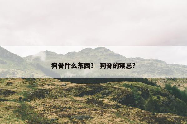 狗脊什么东西？ 狗脊的禁忌？