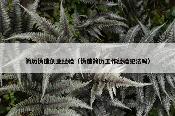 简历伪造创业经验（伪造简历工作经验犯法吗）