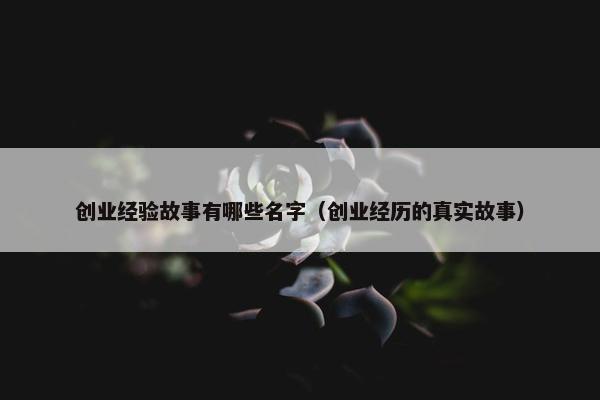 创业经验故事有哪些名字（创业经历的真实故事）