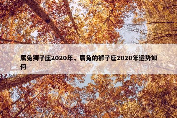 属兔狮子座2020年，属兔的狮子座2020年运势如何