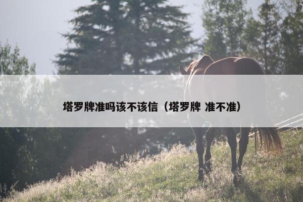 塔罗牌准吗该不该信（塔罗牌 准不准）