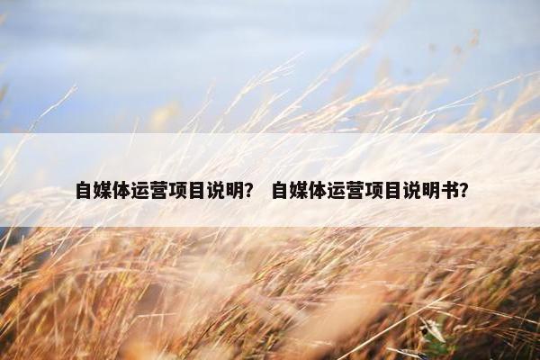 自媒体运营项目说明？ 自媒体运营项目说明书？