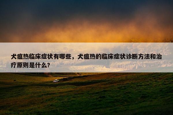 犬瘟热临床症状有哪些，犬瘟热的临床症状诊断方法和治疗原则是什么?