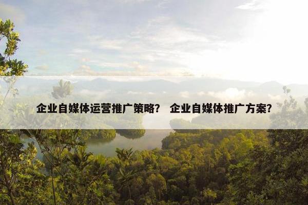 企业自媒体运营推广策略？ 企业自媒体推广方案？
