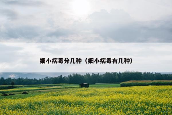 细小病毒分几种（细小病毒有几种）