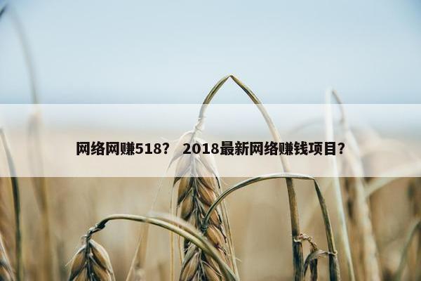 网络网赚518？ 2018最新网络赚钱项目？