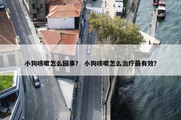 小狗咳嗽怎么回事？ 小狗咳嗽怎么治疗最有效？