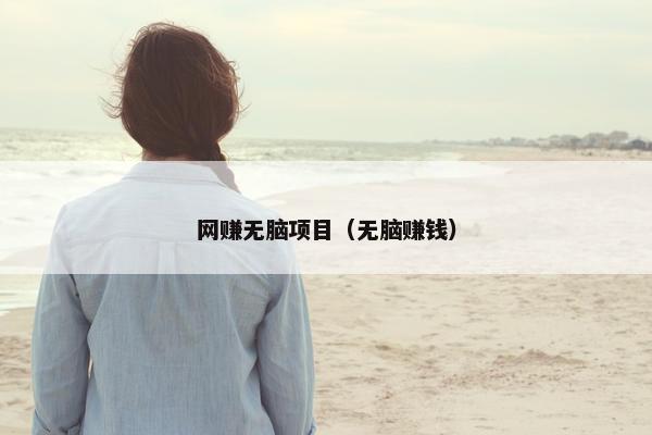 网赚无脑项目（无脑赚钱）
