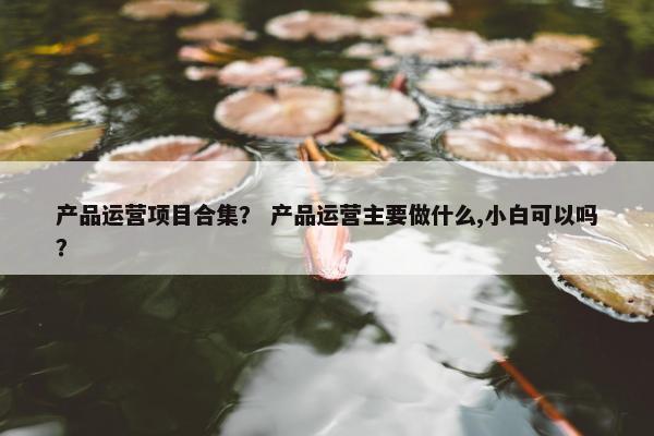产品运营项目合集？ 产品运营主要做什么,小白可以吗？