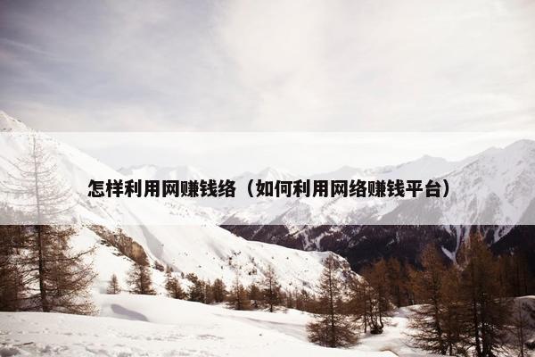 怎样利用网赚钱络（如何利用网络赚钱平台）