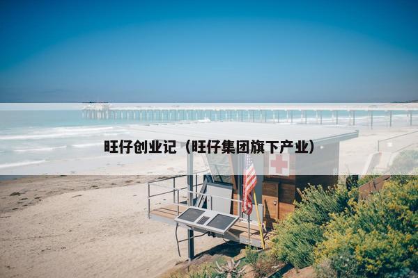 旺仔创业记（旺仔集团旗下产业）