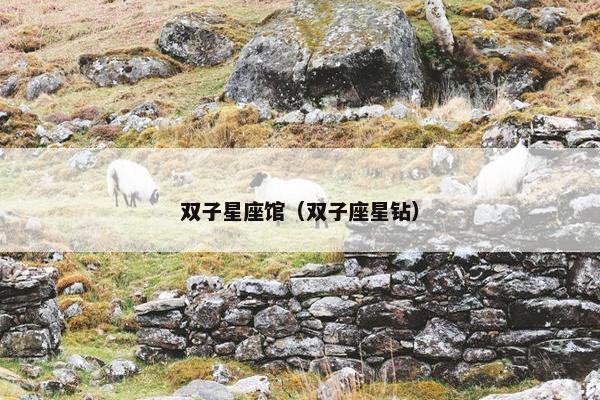 双子星座馆（双子座星钻）
