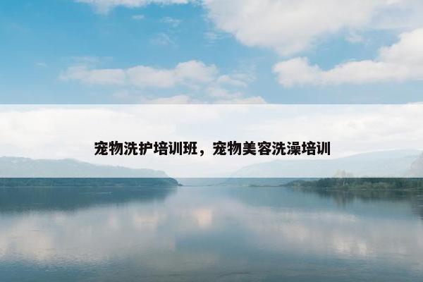 宠物洗护培训班，宠物美容洗澡培训