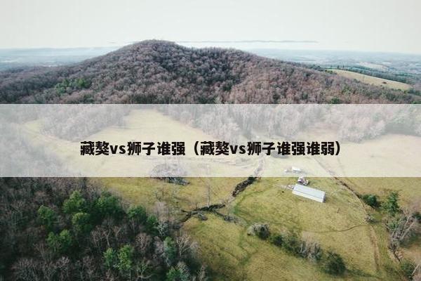 藏獒vs狮子谁强（藏獒vs狮子谁强谁弱）
