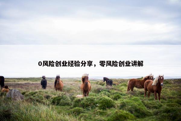 0风险创业经验分享，零风险创业讲解