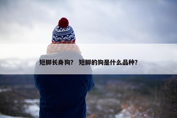 短脚长身狗？ 短脚的狗是什么品种？