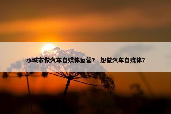 小城市做汽车自媒体运营？ 想做汽车自媒体？