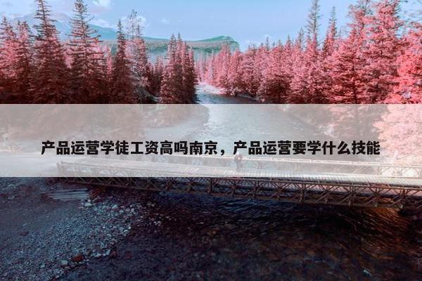 产品运营学徒工资高吗南京，产品运营要学什么技能
