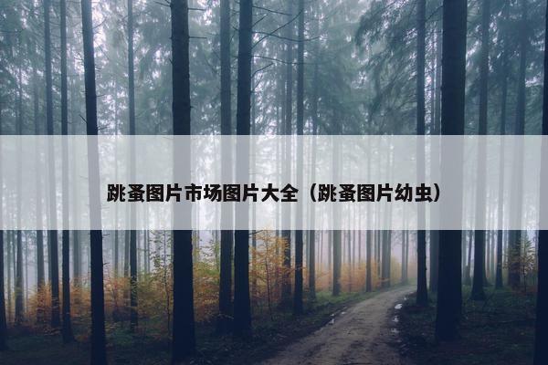 跳蚤图片市场图片大全（跳蚤图片幼虫）