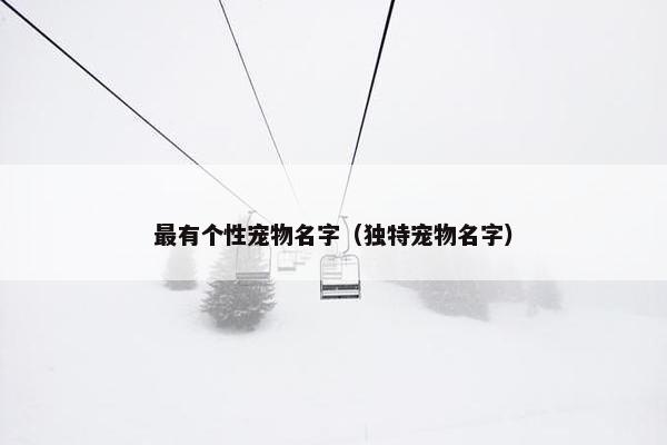 最有个性宠物名字（独特宠物名字）
