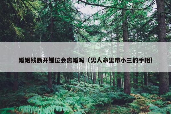 婚姻线断开错位会离婚吗（男人命里带小三的手相）