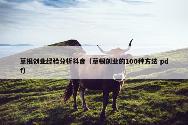 草根创业经验分析抖音（草根创业的100种方法 pdf）