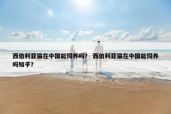 西伯利亚猫在中国能饲养吗？ 西伯利亚猫在中国能饲养吗知乎？