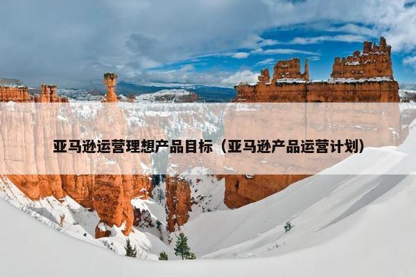 亚马逊运营理想产品目标（亚马逊产品运营计划）