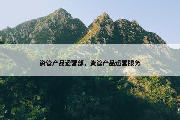 资管产品运营部，资管产品运营服务