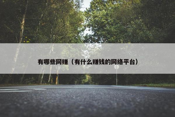 有哪些网赚（有什么赚钱的网络平台）