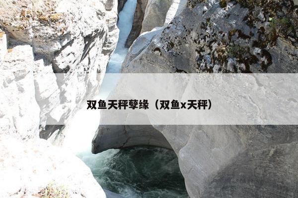 双鱼天秤孽缘（双鱼x天秤）