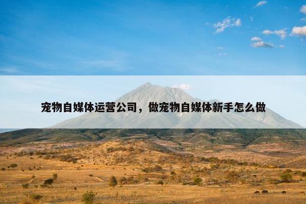 宠物自媒体运营公司，做宠物自媒体新手怎么做