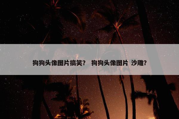 狗狗头像图片搞笑？ 狗狗头像图片 沙雕？