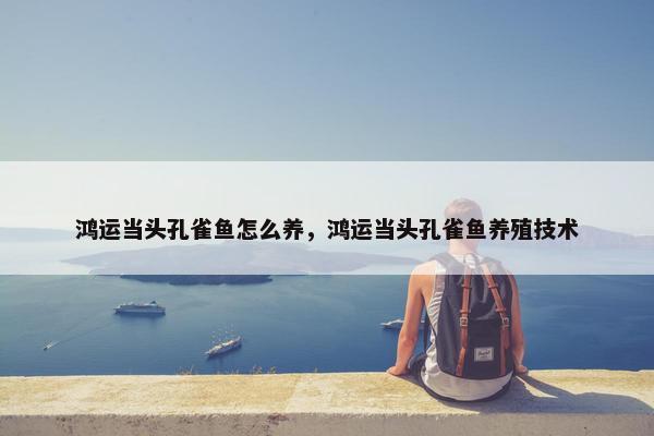 鸿运当头孔雀鱼怎么养，鸿运当头孔雀鱼养殖技术