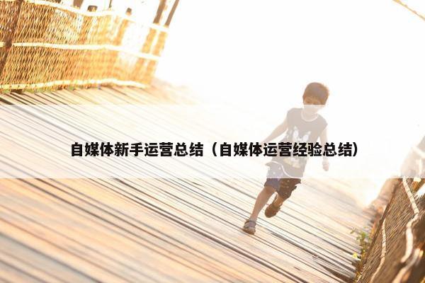 自媒体新手运营总结（自媒体运营经验总结）