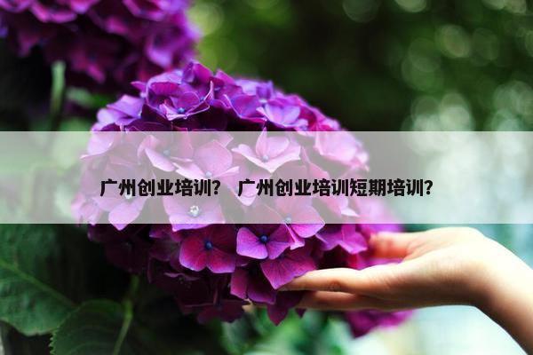 广州创业培训？ 广州创业培训短期培训？