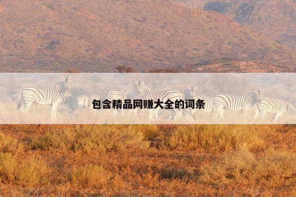 包含精品网赚大全的词条