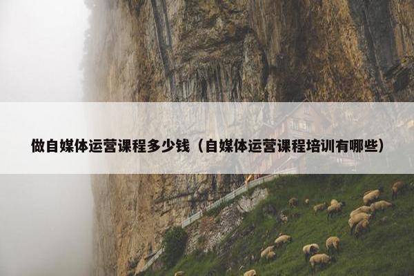 做自媒体运营课程多少钱（自媒体运营课程培训有哪些）