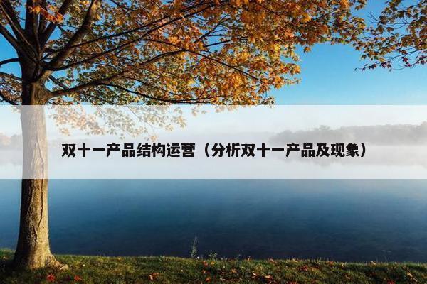双十一产品结构运营（分析双十一产品及现象）