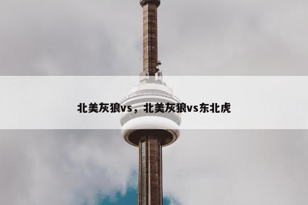 北美灰狼vs，北美灰狼vs东北虎