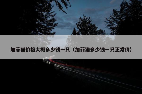 加菲猫价格大概多少钱一只（加菲猫多少钱一只正常价）