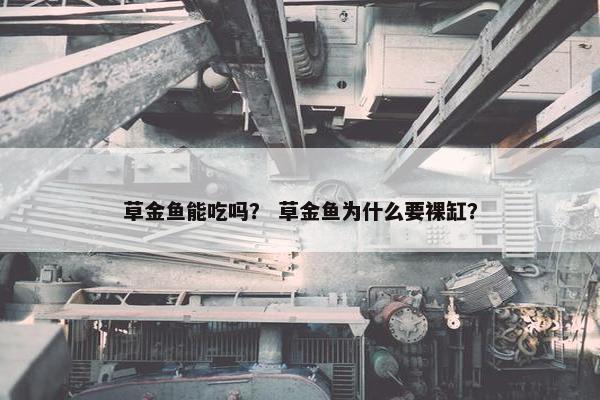 草金鱼能吃吗？ 草金鱼为什么要裸缸？