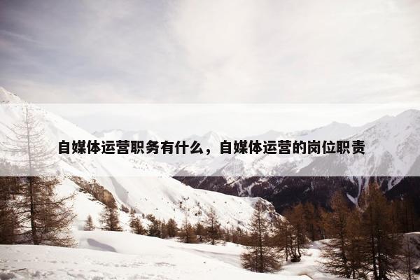 自媒体运营职务有什么，自媒体运营的岗位职责