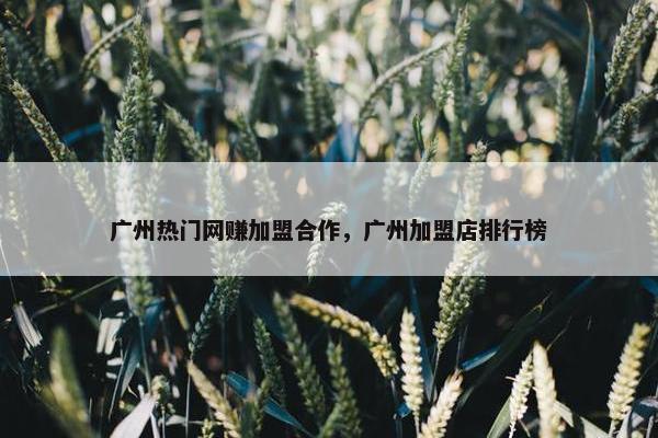 广州热门网赚加盟合作，广州加盟店排行榜