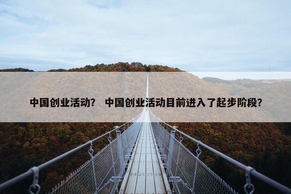 中国创业活动？ 中国创业活动目前进入了起步阶段？